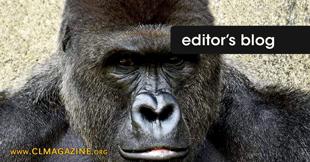 Harambe, Blogs & Videos